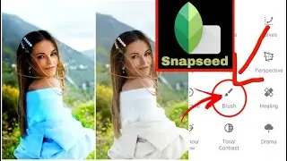 snapseed brush tool tutorial | How To Use The Brush Tool in Snapseed photo editing | 💚2022💛
