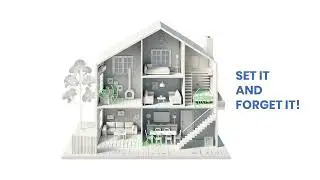 Adant sMART 4 Mesh