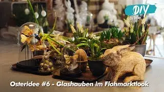 Osteridee #6 Glashauben im Flohmarktlook