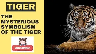 Amazing facts (The Mysterious Symbolism of the Tiger)