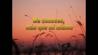 Sarai Rivera- Te Suelto - Letra