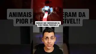 ANIMAIS QUE MORR3RAM DA PIOR FORMA POSS&Iacute;VEL!! 🤯