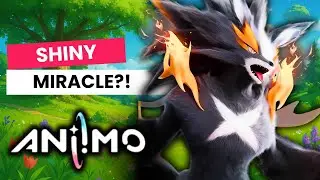 I LOST My Favorite SHINY Aniimo&hellip; Then Spent HOURS Searching!