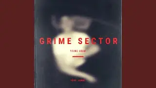 Grime Sector
