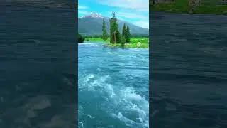 Water Sounds Calm The Mind 💧  Som de &aacute;gua acalma a mente