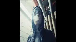shosharascal + jerk Type Beat 