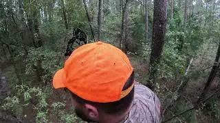 South Carolina Public Land Deer Hunt 2 2024