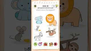 Brain Test All-Star: IQ Boost Level 355