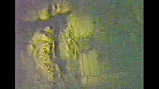 【としまえん】かつて存在したアトラクション「アフリカ館」