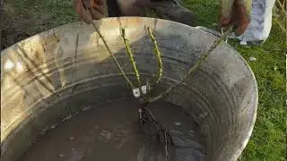How to Plant and Care for a Bare Root Rose | Gardening Tips with Mat from Peter Beales Roses