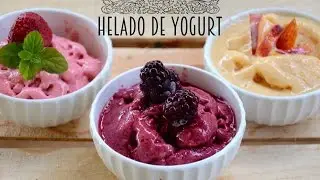HELADO DE YOGURT CON FRUTAS NATURALES/FROZEN YOGURT