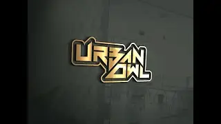 URBAN OWL!