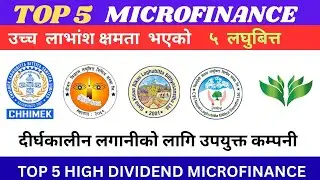 उच्च लाभांश क्षमता भएको लघुबित्त/ top 5 micro finance/ top dividend capacity micro/ shree tech