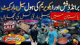 Aquarium Fish Big Discount | Ocean Pacific | Fresh Water Fish Wholesale Price