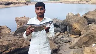 Big sahij padhan fish| River fishing| #Rohan fishing
