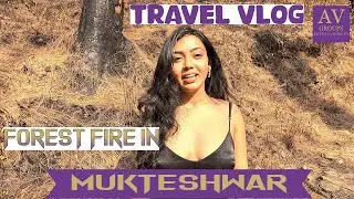 Uttarakhand forest fire | Sad moment | Kumaon region suffering #uttarakhand #fire