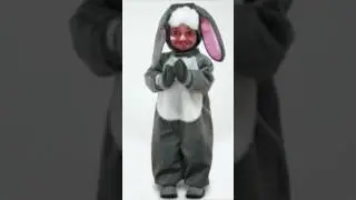 Udri, udri, udri mujo
