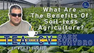 Tea With CV: Ep#2 | What are the benefits of soil-less agriculture? | CV Hydro Quiz Result Is Here!