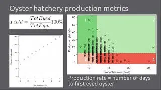 Machine learning of factors related to production crashes at an oyster hatchery