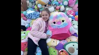 THE SQUISHMALLOWS SQUISH TOUR!
