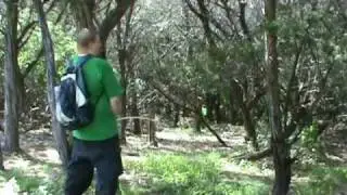 Passive Predator