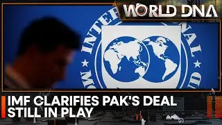 IMF: No change in Pakistan's financial requirements | Latest World News | English News | WION