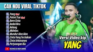 CAK NDU VIRAL TIKTOK - YANG - POTRET TUA - BARA CINTA | BADAI BIRU || FULL ALBUM DANGDUT VIRAL