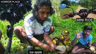 IRL | EAT ICE APPLE  | MINI RIDE IN OUR AREA | friends tell me about ice apple taste🤤