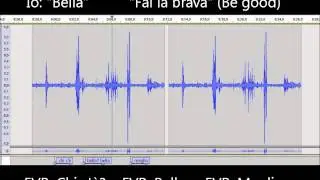 EVP Mysterious voices 34