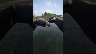 Awesome MicroFishing with GLASSFIN rod