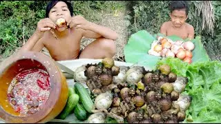 Amazing chicken egg Primitive Technology cooking chicken egg on fire