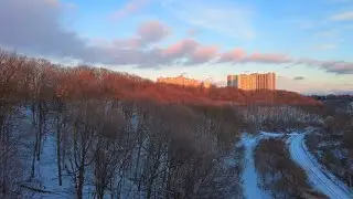 Toronto Walk - Thorncliffe Park