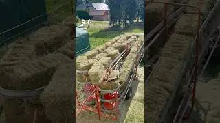 Hay Bale Conveyor Belt! 🧑&zwj;🌾 #farming #farm #haybales