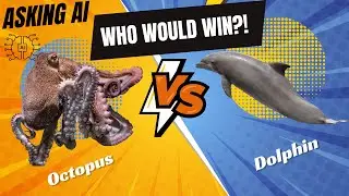 The Intelligent Showdown: Dolphin vs Octopus - Who Would Win in a Battle of Brains?