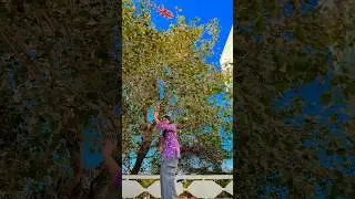 || Ranu Bombai ki ||#shorts#trending#youtubeshorts#viral#dance#short#shortvideo#song#telugu#foryou