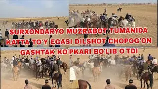 SURXONDARYO MUZRABOT TUMANIDA KATTA TO'Y EGASI DILSHOT CHOPOG'ON GASHTAK KOʻPKARI BOʻLIB OʻTDI