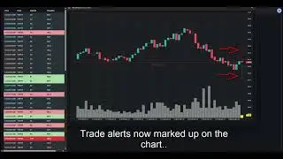 Trade Alert Speech Announcements: Hear Size Levels Trade in Real-Time