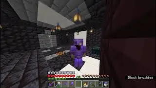 Auto Armor equiper be like | Minecraft