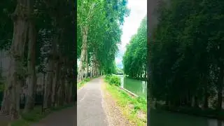 #travel #vlog #vloging #planting #trees #ecosystem #beautifulgoodmorning #canals #europelife