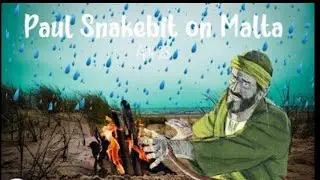 Paul was bitten by a viper while shipwrecked on the island of Malta.