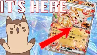 Terastalization IS HERE!!! ... Now what?