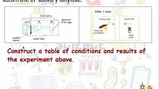 How to...TABLE OF CONDITIONS