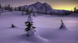 Новая песня 