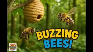 Bees! Earth's Most Important Animal! Fun, quirky and child-friendly facts about Bees!