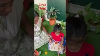 #shape #circle #foryou #shorts #youtube #building #blocks #play #school #kids #learning #india