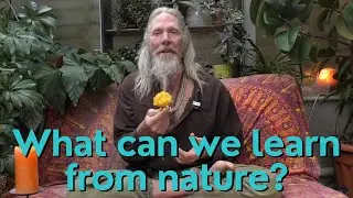What can we learn from nature?