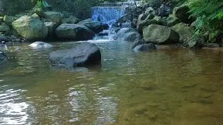 River Sounds Under the Moon – Relaxing Water Flow to Ease Stress and Improve Sleep