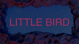 Little Bird - Fangbanger [Official Lyric Video]