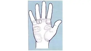 7 Mounts of the Hand | Palm Reading