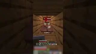Villager Book buying funny moments #minecraft #minecraftshorts - MrExpandables Gaming